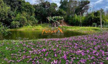 SITIO EM SERRA NEGRA-SP