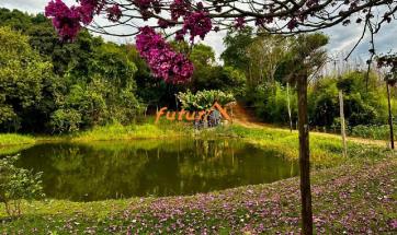 SITIO EM SERRA NEGRA-SP