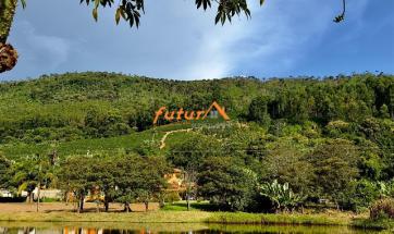 SITIO EM SERRA NEGRA-SP